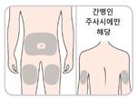 공식 설명서 삽화