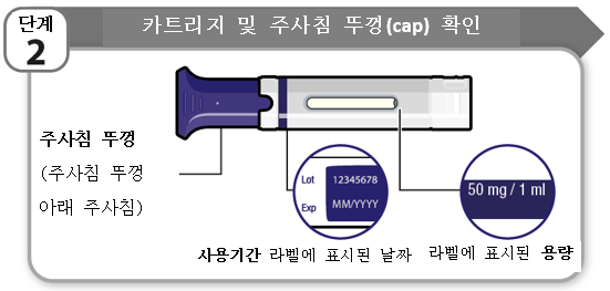 공식 설명서 삽화