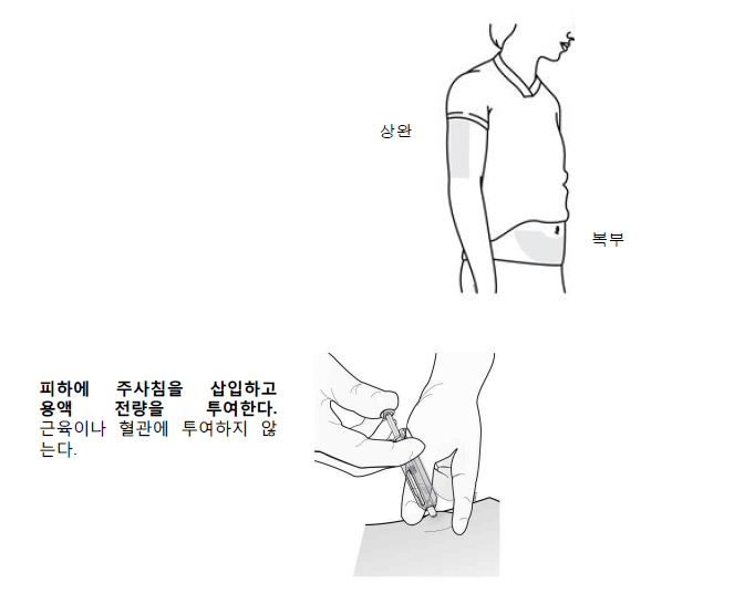 공식 설명서 삽화