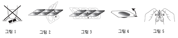 공식 설명서 삽화