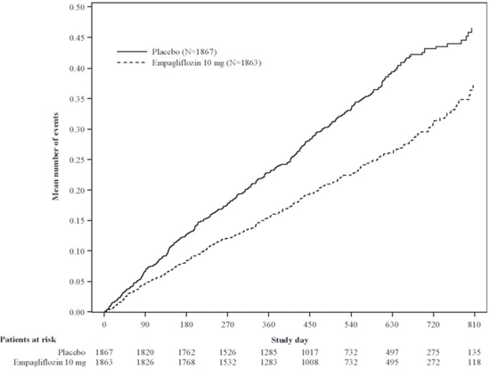 공식 설명서 삽화
