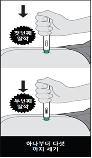 공식 설명서 삽화