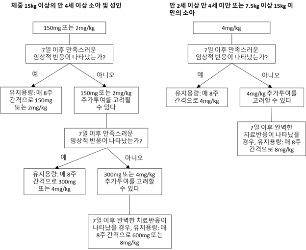 공식 설명서 삽화