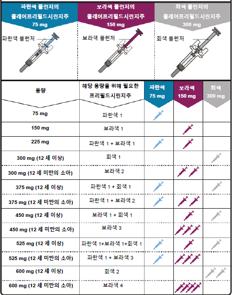 공식 설명서 삽화