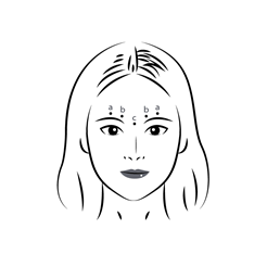 공식 설명서 삽화