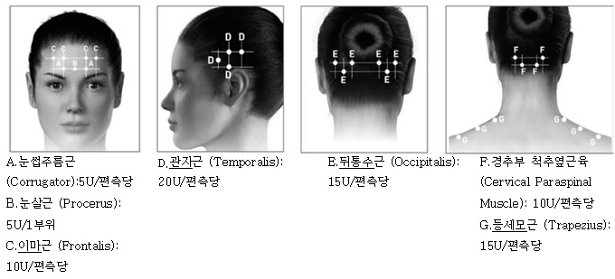공식 설명서 삽화