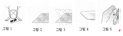 공식 설명서 삽화