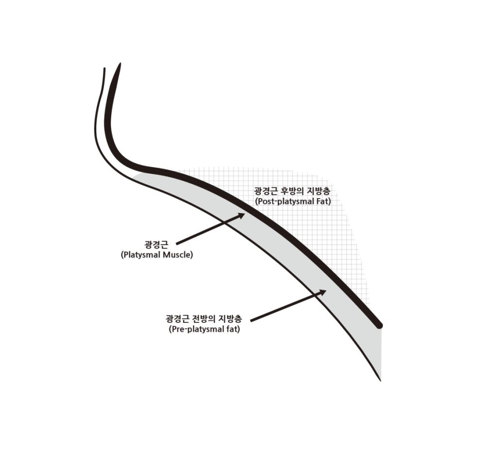 그림입니다.

원본 그림의 이름: CLP00003f3c0005.bmp

원본 그림의 크기: 가로 1136pixel, 세로 1089pixel