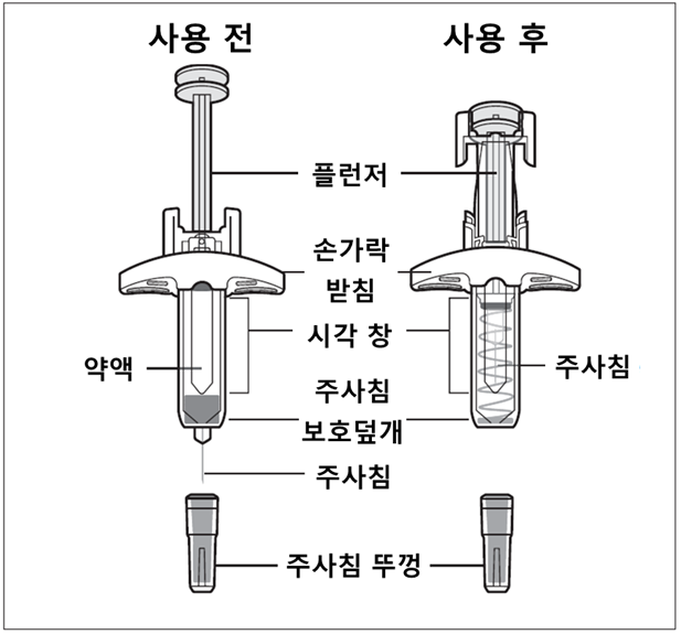 공식 설명서 삽화