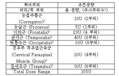공식 설명서 삽화