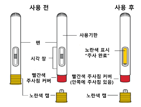 공식 설명서 삽화