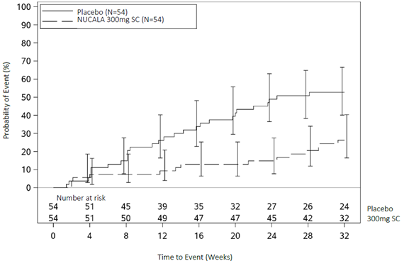 공식 설명서 삽화