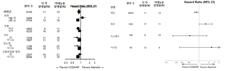 공식 설명서 삽화