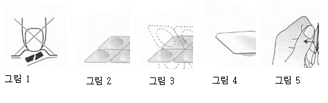 공식 설명서 삽화