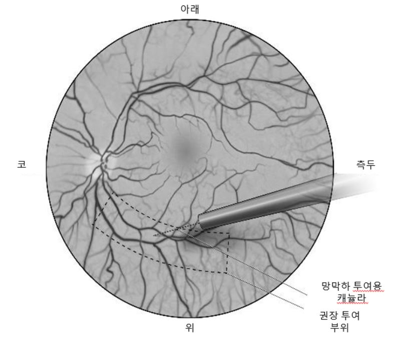 그림입니다.
원본 그림의 이름: image10.png
원본 그림의 크기: 가로 785pixel, 세로 681pixel
