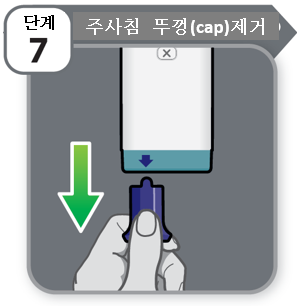 공식 설명서 삽화
