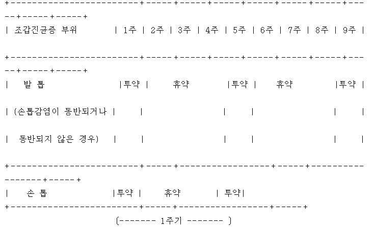 공식 설명서 삽화