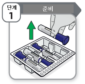 공식 설명서 삽화
