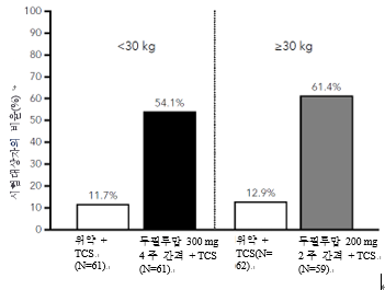 공식 설명서 삽화