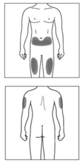 그림입니다.
원본 그림의 이름: image15.emf
원본 그림의 크기: 가로 168pixel, 세로 330pixel