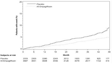 공식 설명서 삽화