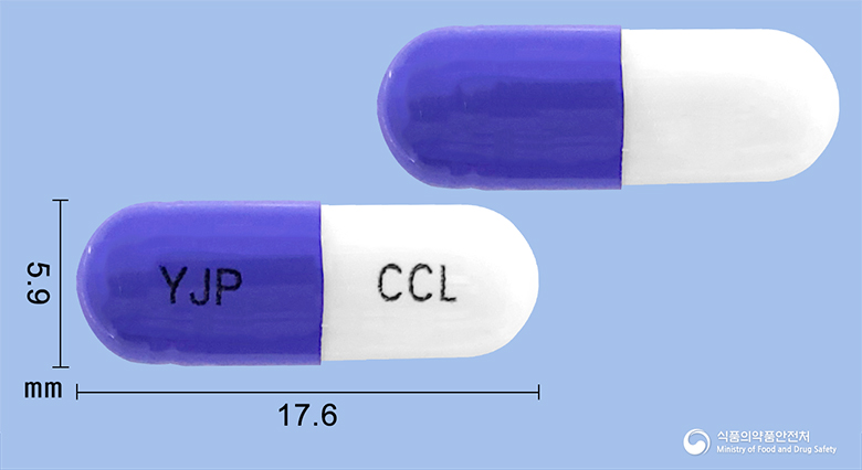 영진세파클러캡슐(수출명 : 세파클러캡슐250mg(사와이)) 등록 사진