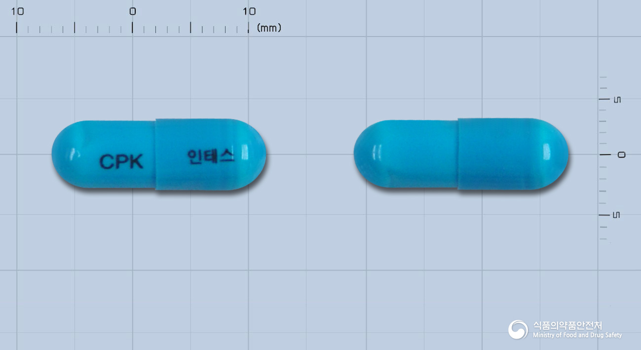 인테스캡슐200mg(아세틸시스테인) 등록 사진