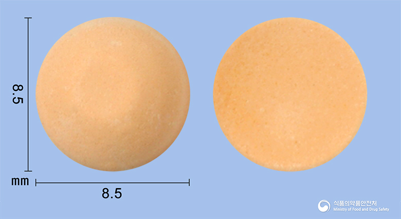 나제아오디정0.1mg(라모세트론염산염) 등록 사진