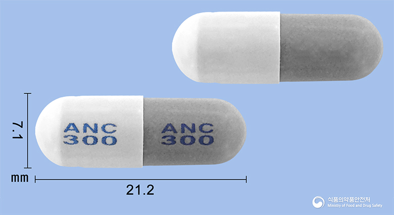 안티비오캡슐300mg(락토바실루스아시도필루스균)(수출용) 등록 사진