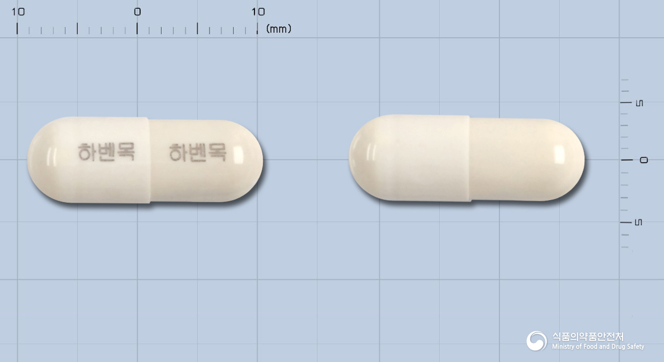 하벤목에스캡슐 등록 사진