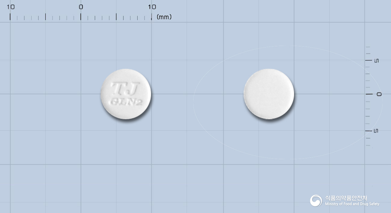 가스론엔정2mg(이르소글라딘말레산염) 등록 사진