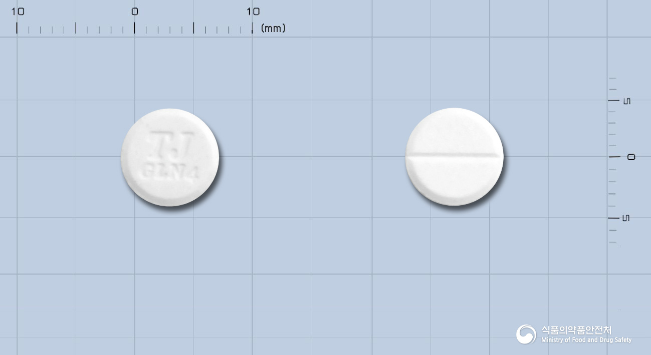 가스론엔정4mg(이르소글라딘말레산염) 등록 사진