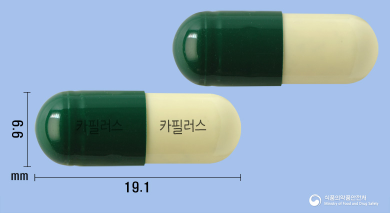카필러스캡슐 등록 사진
