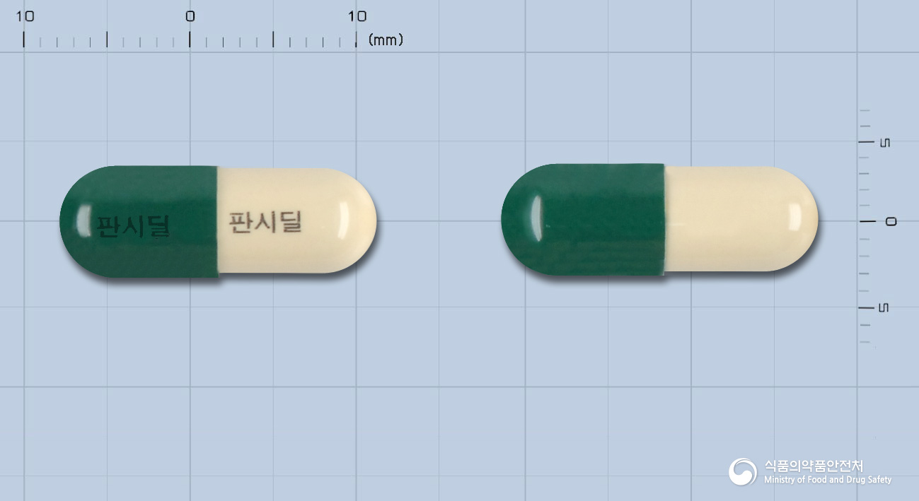 판시딜캡슐 등록 사진