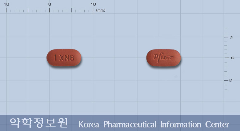 인라이타정1밀리그램(엑시티닙) 등록 사진