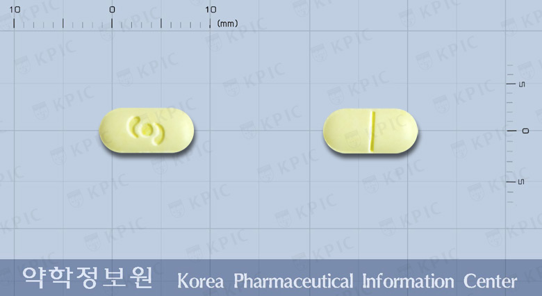 파비안에스정 등록 사진