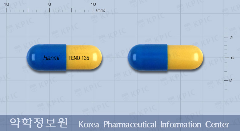 페노시드캡슐(페노피브릭산) 등록 사진