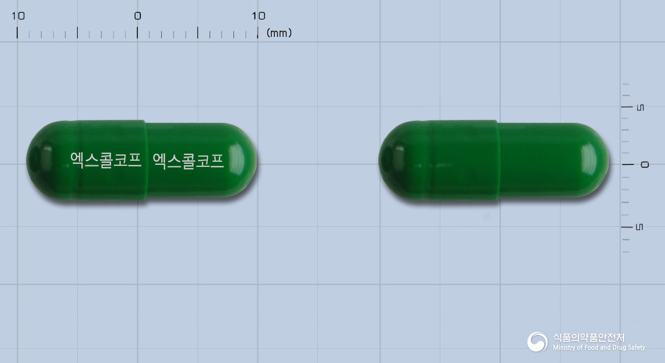 엑스콜코프캡슐 등록 사진