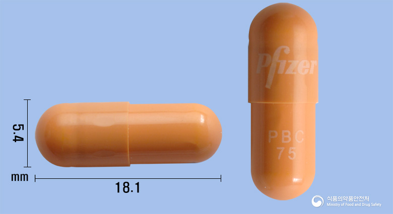 입랜스캡슐75mg(팔보시클립) 등록 사진