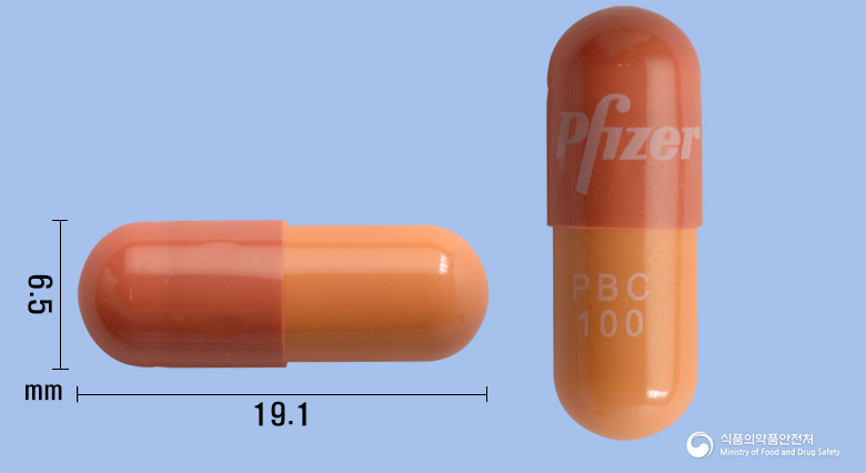 입랜스캡슐100mg(팔보시클립) 등록 사진