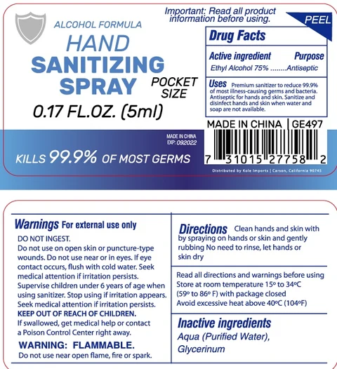 Hand Sanitizing packaging