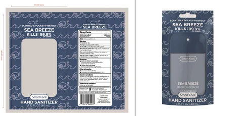 Smart Care Hand Sanitizer Sea Breeze 포장