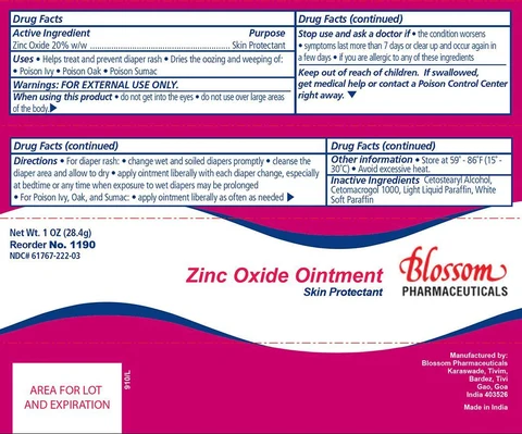 Zinc Oxide 포장