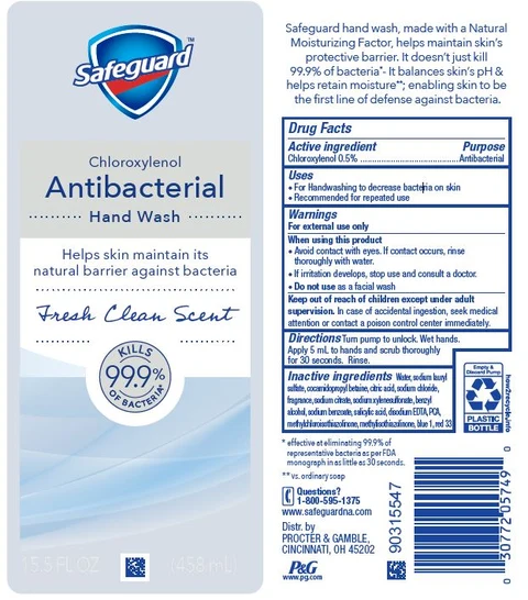 Safeguard Antibacterial Hand WashFresh Clean Scent 포장