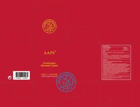 AAPE Continuous Renewal 포장