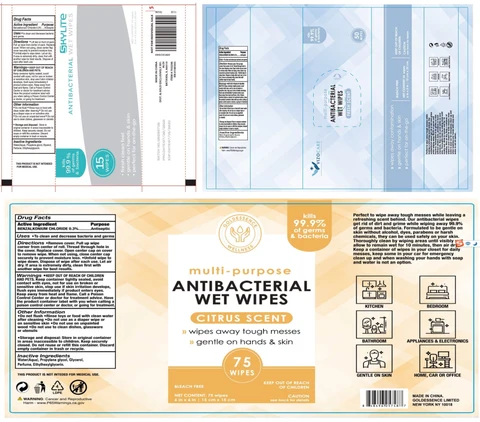 ANTIBACTERIAL WET WIPES 포장