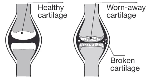leaflet image 19