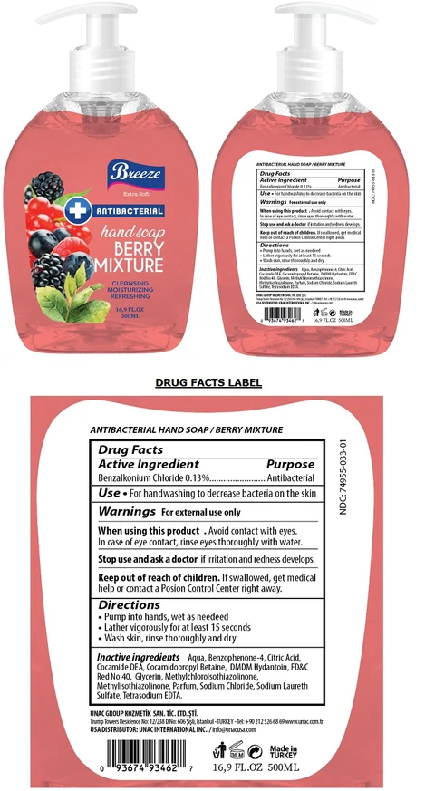 BREEZE ANTIBACTERIAL HANDSOAP BERRY MIXTURE 포장