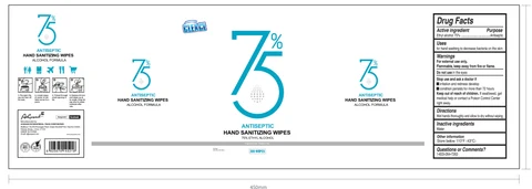 CLEACE 75% Ethyl Alcohol Antiseptic Hand Sanitizing Wipes packaging