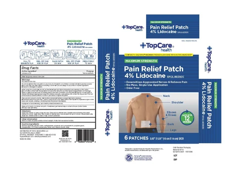 TOPCARE PAIN RELIEF PATCHES 포장